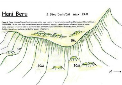 Hani Beru